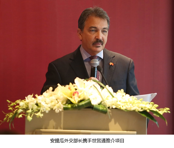 安提瓜外交部长